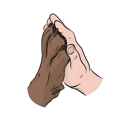Alt Image